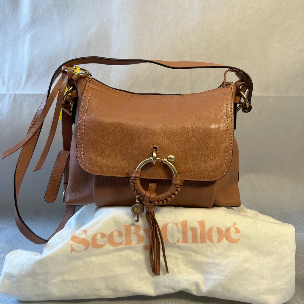 SEE by CHLOE Joan Leather Shoulder/Crossbody Handbag